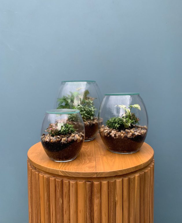 Forest Life Terrarium