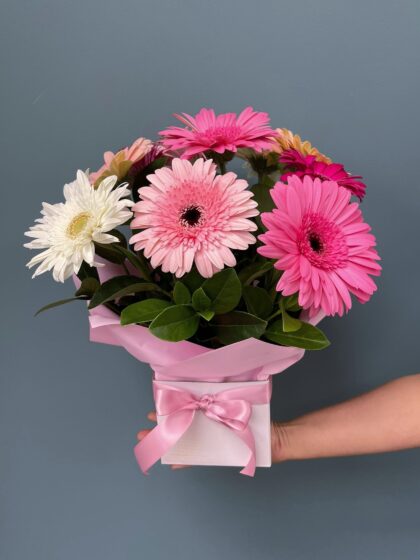 Pink Petal Pop