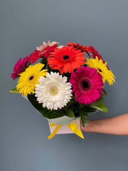 Bright Petal Pop