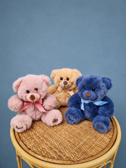 Plush Cuddle Bear