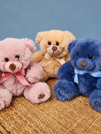 Plush Cuddle Bear